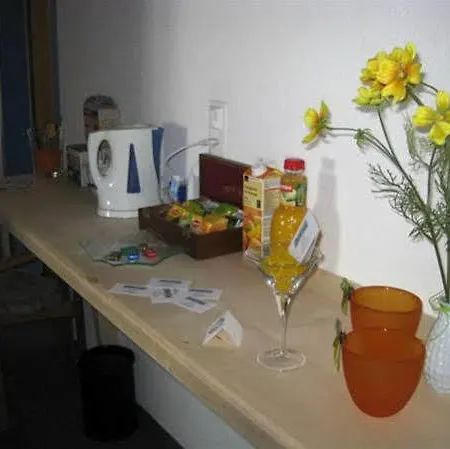 Frieden Ξενοδοχείο Νταβός