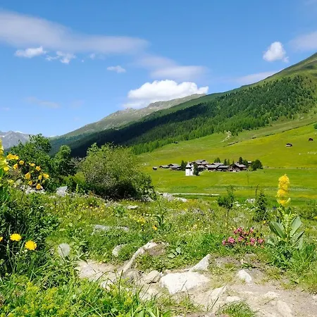 フリーデン 2* ダヴォス・プラッツ